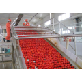 Tropical fruit mango pineapple processing plant